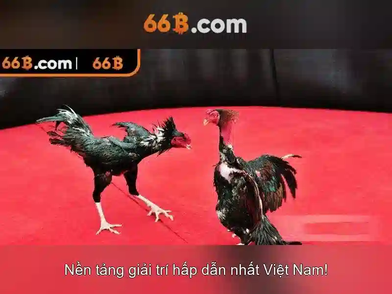 Tương lai của 66B và tác động xã hội