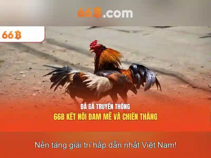66b: một khái niệm công nghệ và ứng dụng