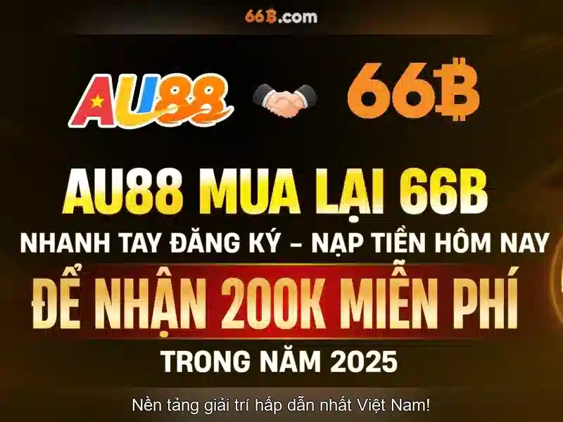 66B: Nền tảng và tiềm năng