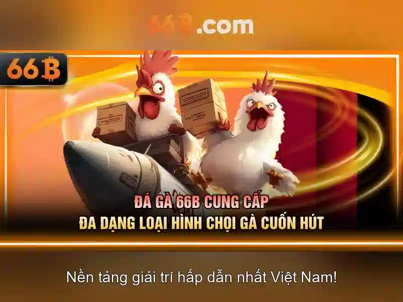 Lời khuyên và hướng phát triển cho 66b