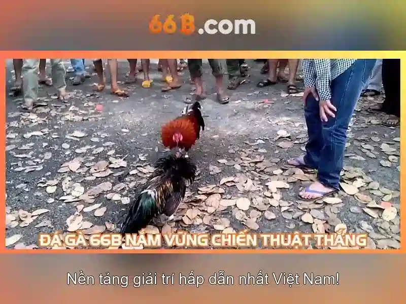 66b: một mô hình ngôn ngữ lớn cho thời đại trí tuệ nhân tạo