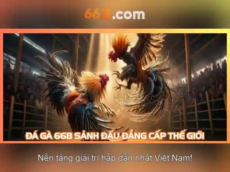 review 66b: tổng quan, trải nghiệm và đánh giá