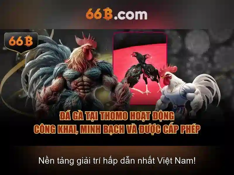Nguồn gốc và ý nghĩa của 66b