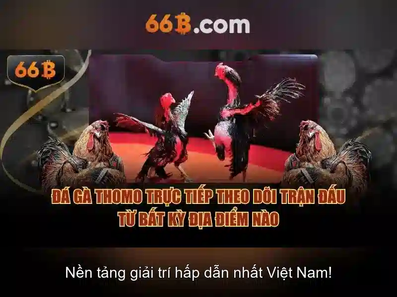 66b: Khám phá mô hình ngôn ngữ lớn 66b