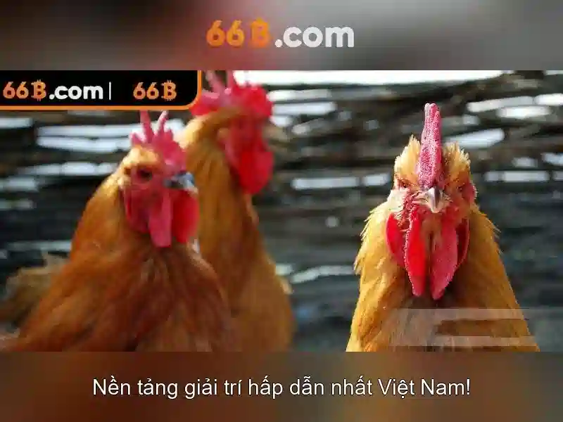 Kiến trúc và cách hoạt động