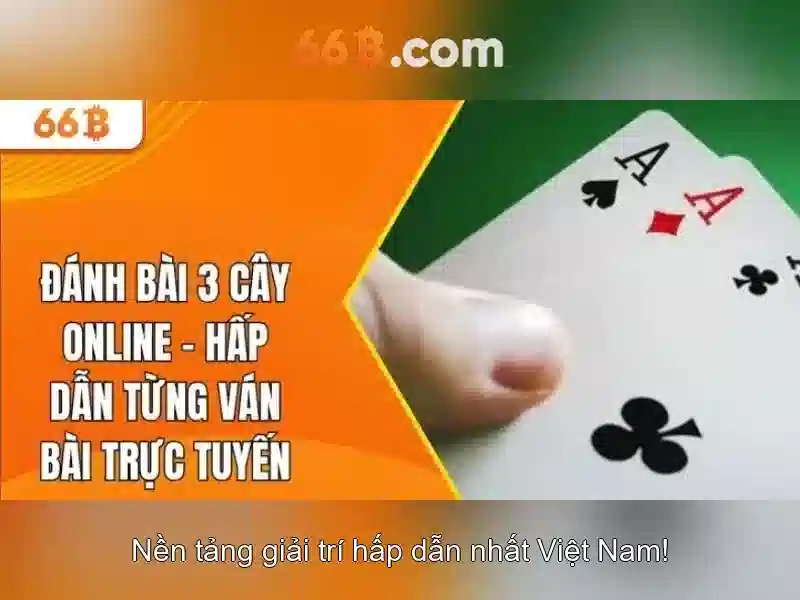 Phát triển và tầm nhìn tương lai