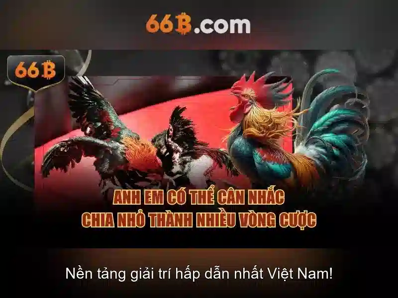 66B: mô hình ngôn ngữ 66 tỷ tham số và những điều cần biết