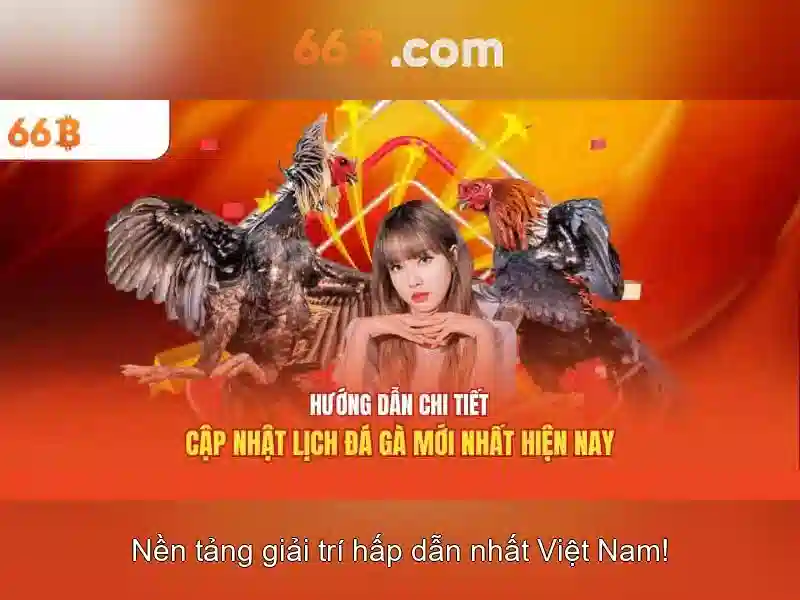 Giới thiệu về 66B