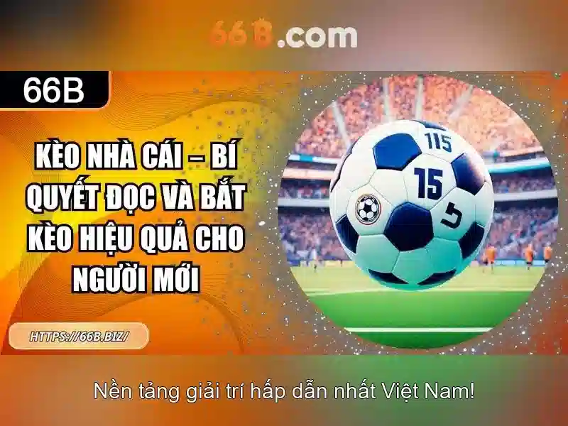 66b: Phân tích và ứng dụng