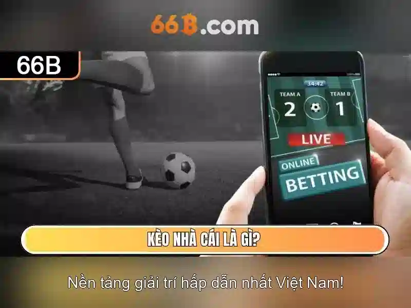 Ứng dụng tiềm năng