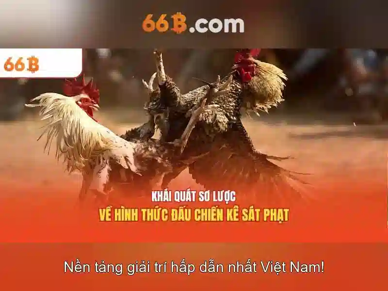 66B: Hiểu về mô hình 66 tỷ tham số