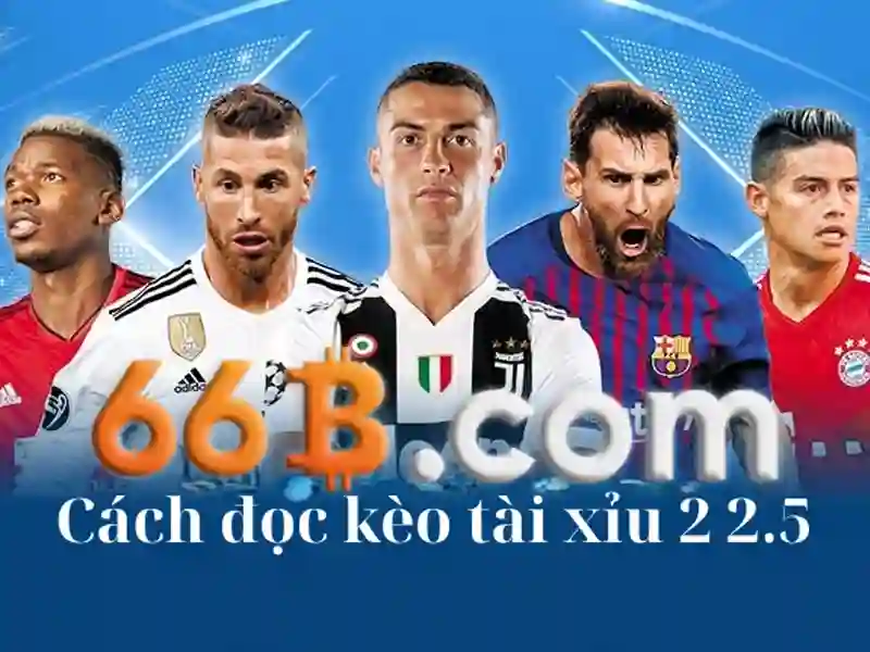 66B: Mô hình ngôn ngữ quy mô lớn và các ứng dụng