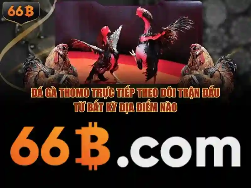 Những lưu ý khi làm việc với 66B