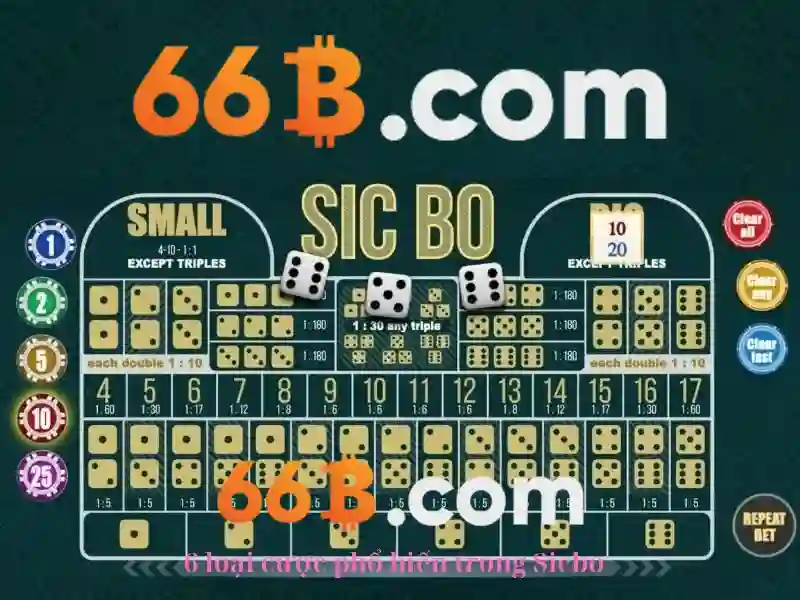 Định nghĩa và kích thước tham số của 66b so với các phiên bản trước