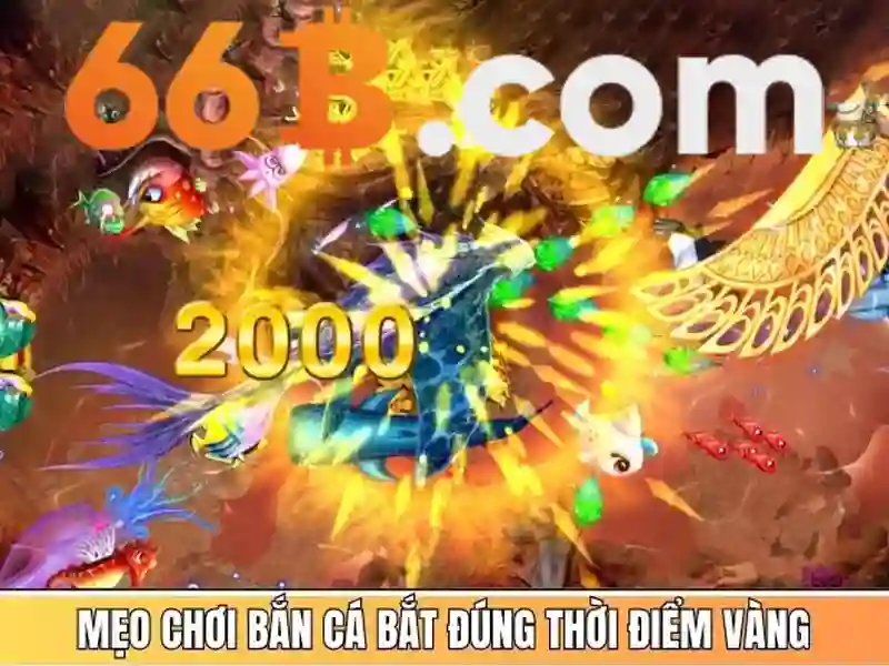 Đánh giá hiệu suất và so sánh