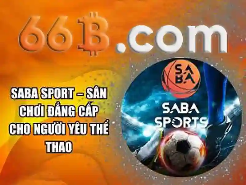 Kiến thức cơ bản về 66b