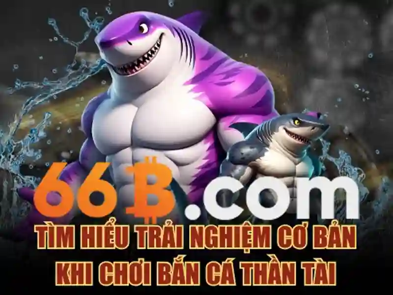 Kiến trúc và đặc điểm của 66b