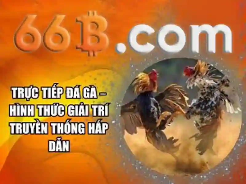 Định vị của 66B trong hệ sinh thái AI