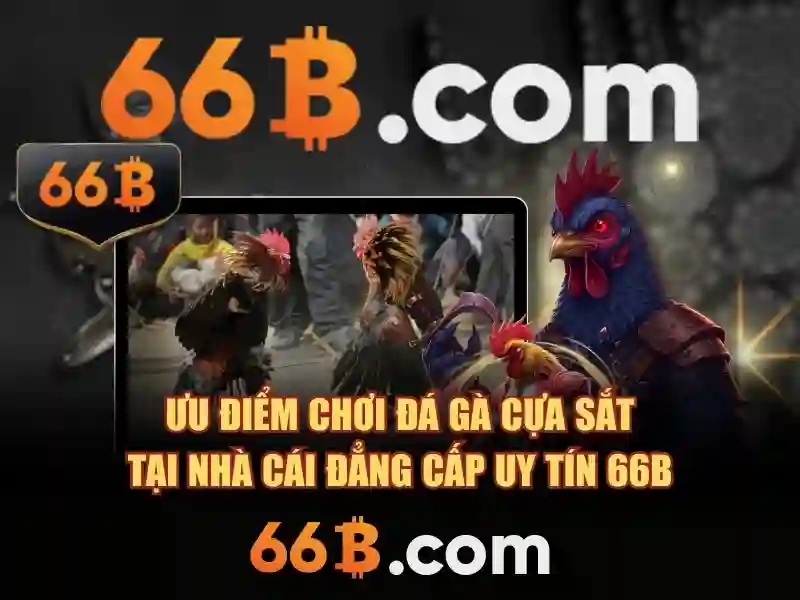 66B: Tổng quan và ứng dụng