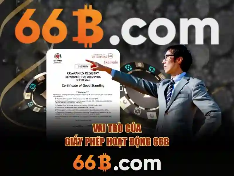 66b là gì?