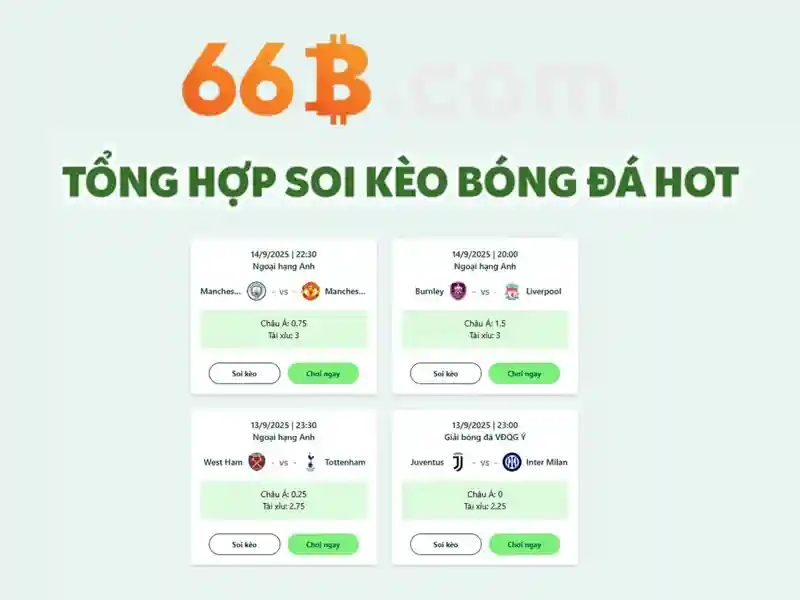 Về mô hình 66B