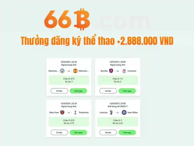 Kết cấu và tối ưu