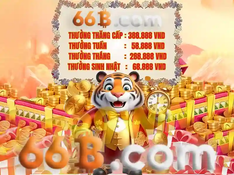 66B: Một cái nhìn tổng quan