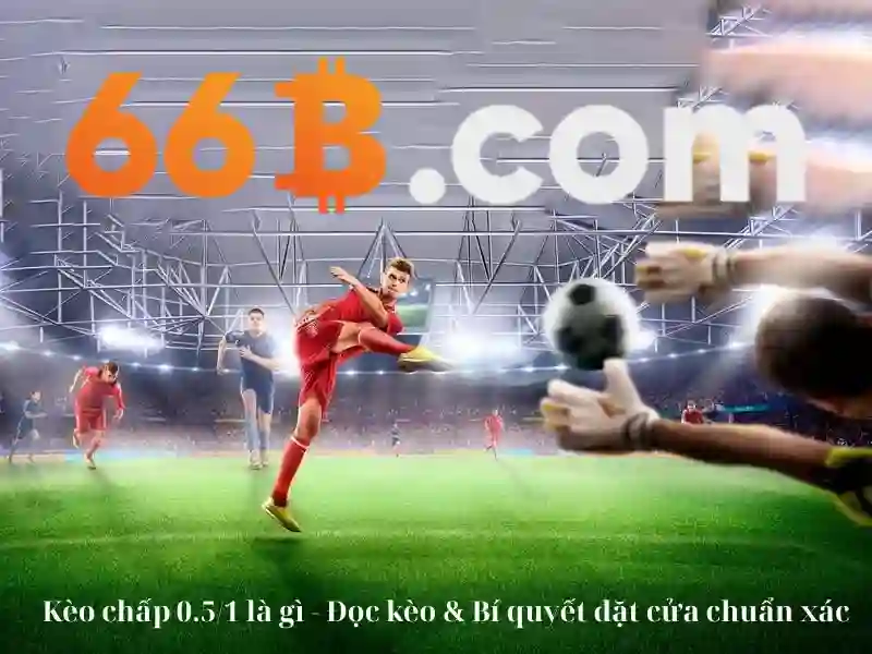 Khuyến nghị tối ưu khi chọn nhà cái 66b